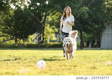 a beautiful woman playing ball with her dog in the park 105559777