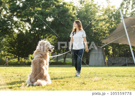 a beautiful woman playing ball with her dog in the park 105559778