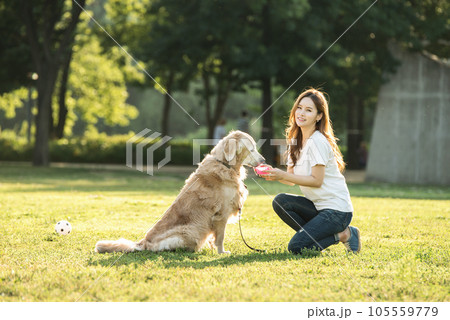 a beautiful woman playing ball with her dog in the park a beautiful woman playing ball with her dog in the park 105559779