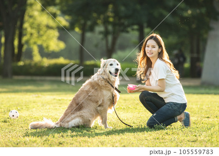 a beautiful woman playing ball with her dog in the park 105559783