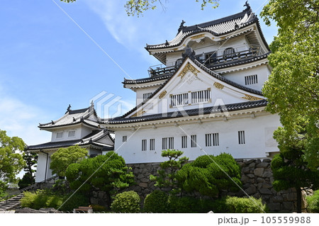 岸和田城の復興天守と城内 105559988