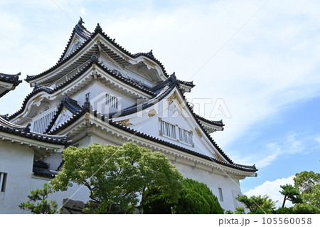 岸和田城の復興天守と見上げる空 岸和田城の復興天守と見上げる空 105560058