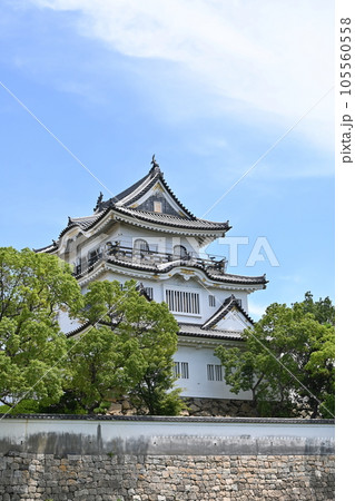 岸和田城の天守閣と木々 岸和田城の天守閣と木々 105560558