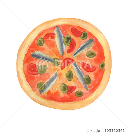 Pizza with anchovies. Watercolor hand painted illustration isolated on white Pizza with anchovies. Watercolor hand painted illustration isolated on white 105560561