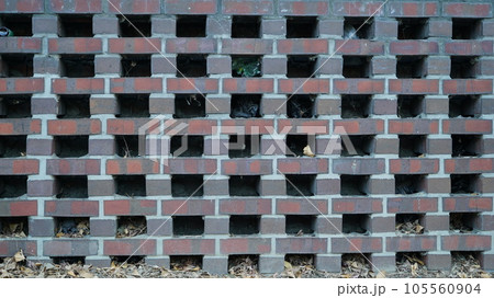 Red brick wall with fallen leaves and trash inside Red brick wall with fallen leaves and trash inside 105560904