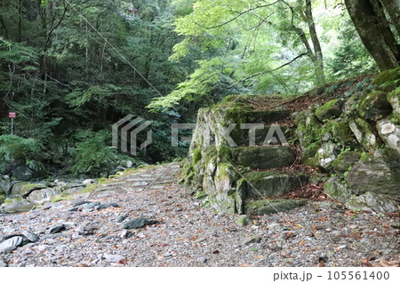 仁淀川ブルーのキレイな川 105561400