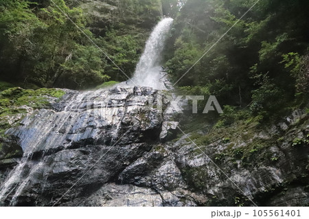 仁淀川ブルーのキレイな川 105561401