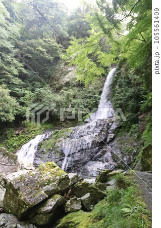 仁淀川ブルーのキレイな川 105561409