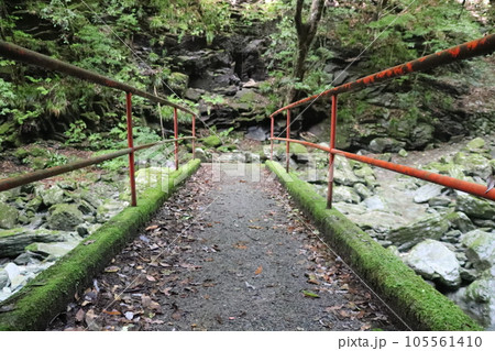 仁淀川ブルーのキレイな川 105561410