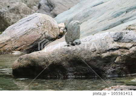 仁淀川ブルーのキレイな川 105561411