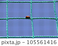 野球ネットにひっついているテントウムシ 105561416