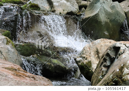 仁淀川ブルーのキレイな川 105561417