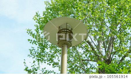 Dented street lights in the outdoor park 105561914