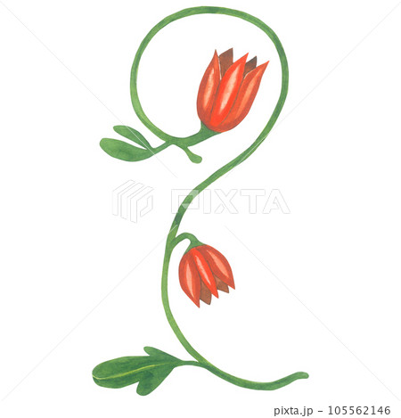 Watercolor illustration of a floral monogram in a medieval style. Made by hand isolated on transparent background 105562146