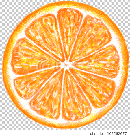 Cross section of mandarin orange_sliced orange 105562677