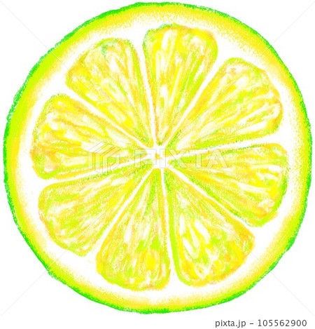ライムの断面 105562900