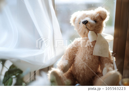 窓辺にあるクマのぬいぐるみ 105563223