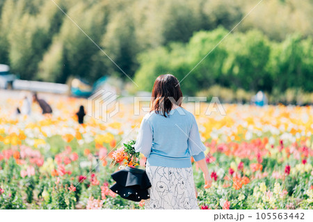 ルピナスの花畑を撮影する女性 ルピナスの花畑を撮影する女性 105563442