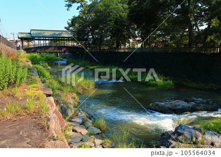 【香川県】早朝の「こんぴらさん」金刀比羅宮（金倉川に掛かる鞘橋） 105564034