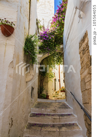 Pretty flowers decorate the steps of an alley in Ostuni 105564055