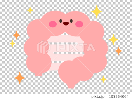 簡單腸道的插圖 簡單腸道的插圖 105564064