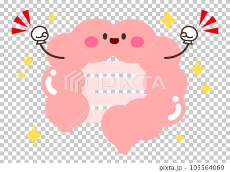 充滿活力和光澤的腸道的人物插圖 充滿活力和光澤的腸道的人物插圖 105564069