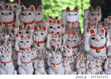 豪徳寺の招き猫 豪徳寺の招き猫 105564343