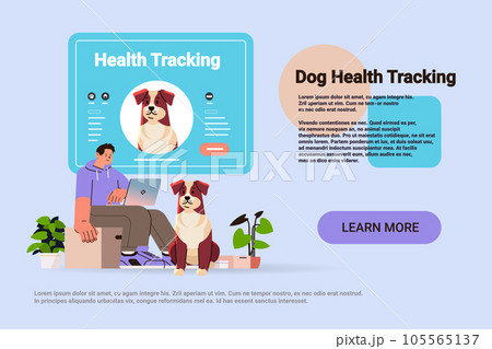 guy owner using pet app on laptop cute dogs best friends domestic animals health tracking application concept 105565137