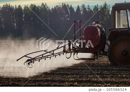 Spraying crops with chemicals such as pesticides or herbicides using sprayer mounted on wheeled tractor. 105566324