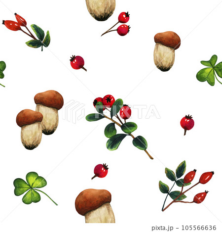 Watercolor seamless pattern wild forest mushrooms porcini and branch red berries. Nature forest lawn scene. Wild landscape. Isolated eco natural illustration on white background Watercolor seamless pattern wild forest mushrooms porcini and branch red berries. Nature forest lawn scene. Wild landscape. Isolated eco natural illustration on white background 105566636