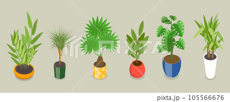 3D Isometric Flat Vector Set of Houseplants 105566676