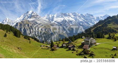 Traditional alpine village in touristic valley Lauterbrunnen, Switzerland attraction 105566806