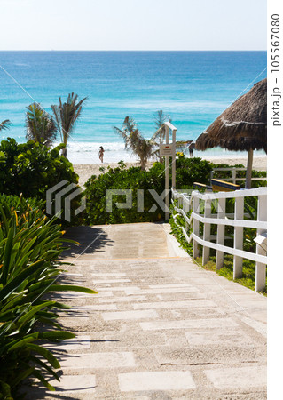 Walkway to the beach. 105567080