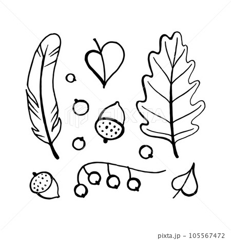 Autumn doodle hand-drawn page with outlines for adult coloring book, art therapy, isolated on white background. Autumn doodle hand-drawn page with outlines for adult coloring book, art therapy, isolated on white background. 105567472