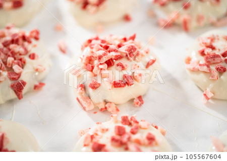 Dipping chocolate cookies into the melted white chocolate to prepare peppermint white chocolate cookies. 105567604