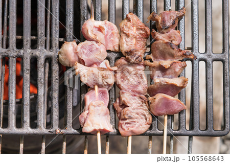 【オートキャンプ場でソロキャンプ　熾火で焼き鳥タン、ハツ、砂肝を焼く】 105568643