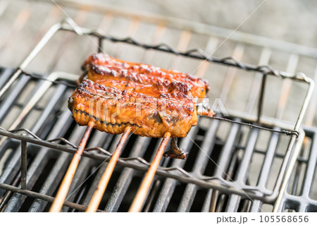 【オートキャンプ場でソロキャンプ　熾火でウナギのかば焼きを焼く】 105568656