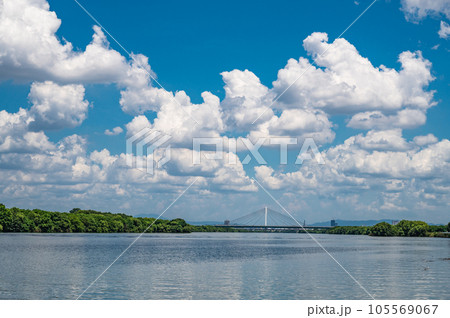 淀川の空に浮かぶわた雲 淀川の空に浮かぶわた雲 105569067