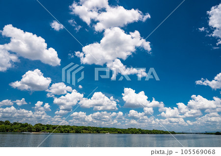 淀川の空に浮かぶわた雲 淀川の空に浮かぶわた雲 105569068