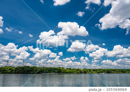 淀川の空に浮かぶわた雲 105569069
