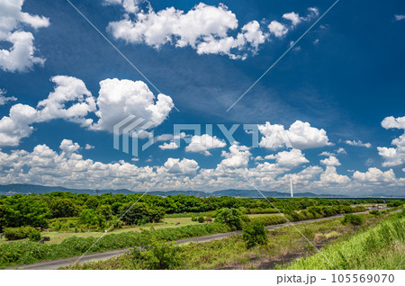 夏雲浮かぶ淀川河川公園 夏雲浮かぶ淀川河川公園 105569070