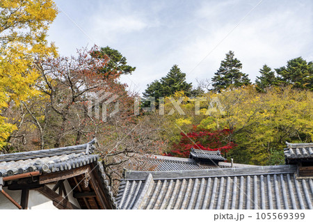 秋の紅葉に染まる東大寺二月堂の甍 秋の紅葉に染まる東大寺二月堂の甍 105569399