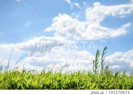 夏の高原風景 夏空 夏色 イメージ 105570674