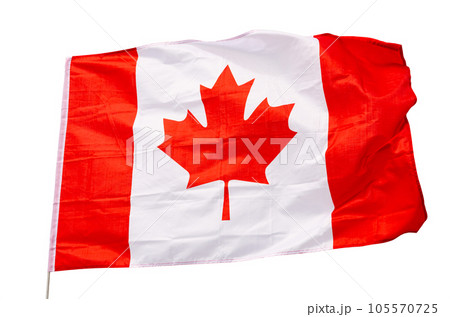 Canvas of Canadian flag flutters on flagpole against gray sky 105570725