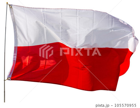 Flag of Poland against white background 105570955