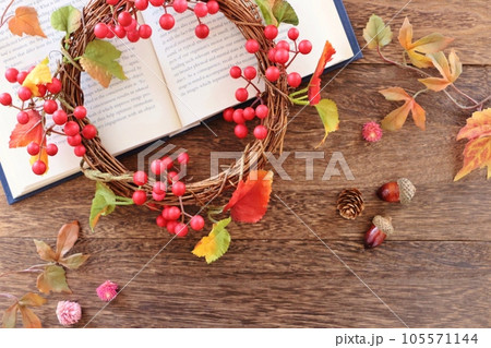 本とベリーリース 105571144