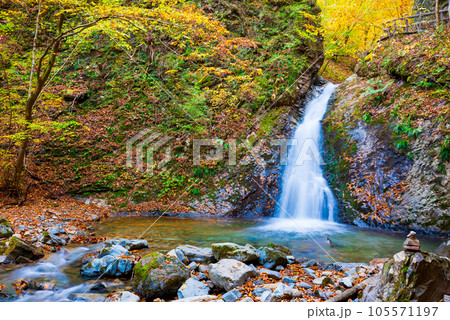 秋の紅葉に染まる那須塩原渓谷の風拳の滝 秋の紅葉に染まる那須塩原渓谷の風拳の滝 105571197