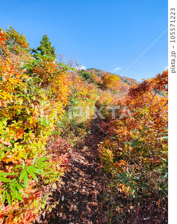 秋の磐梯山登山：猪苗代登山口～赤埴山 105571223