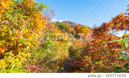 秋の磐梯山登山：猪苗代登山口～赤埴山 105571639