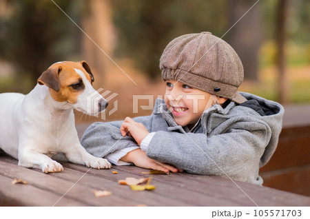 Jack Russell Terrier dog sits on a bench for a walk with a boy in an autumn park. Jack Russell Terrier dog sits on a bench for a walk with a boy in an autumn park. 105571703